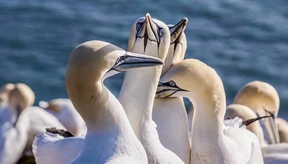 上海再现“秋老虎”！今日最高温再冲30℃+ ，预报中的雨没来？别急！周末冷空气携风雨终结闷热
