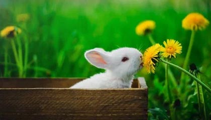 人民银行：上半年人民币贷款增加13．26万亿元