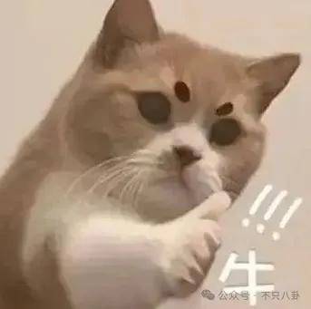 好嚣张!他和老婆上节目,却半夜偷着和老婆闺蜜联系?