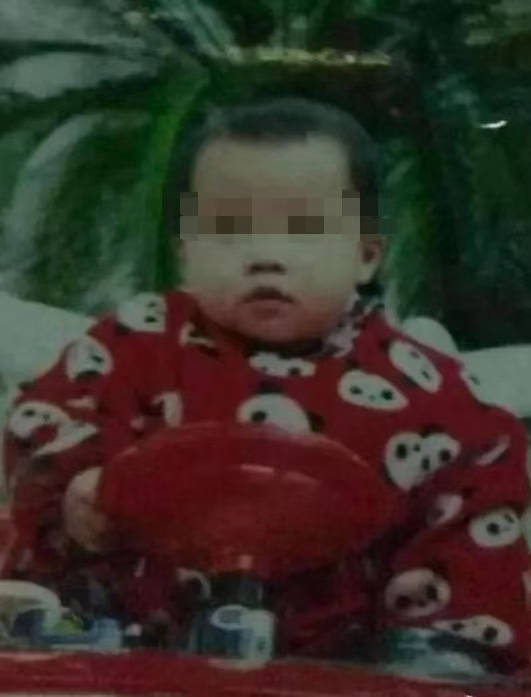 “梅姨案”进展：被拐的9个孩子都找到了，“梅姨”仍未归案