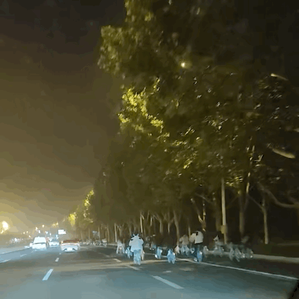 郑州大学生“夜袭”开封 网友:“青春”在这一刻具象化