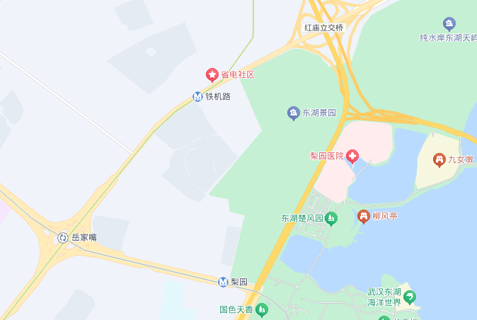 武汉多地网友称凌晨听到巨响,亲历者:听着明显像从地面发出,多方回应