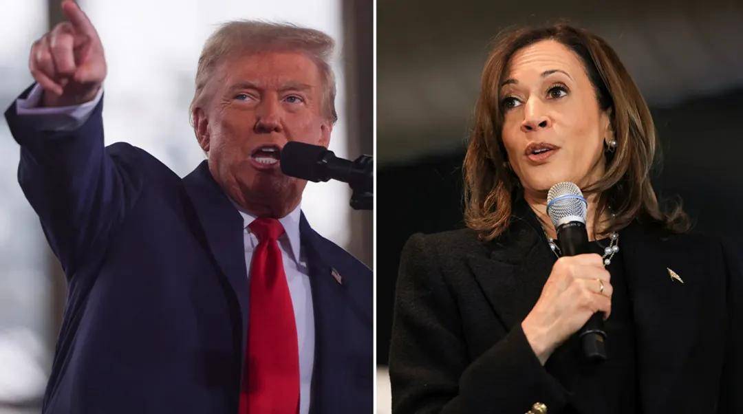 选前不被看好的特朗普,何以取得历史性胜利?