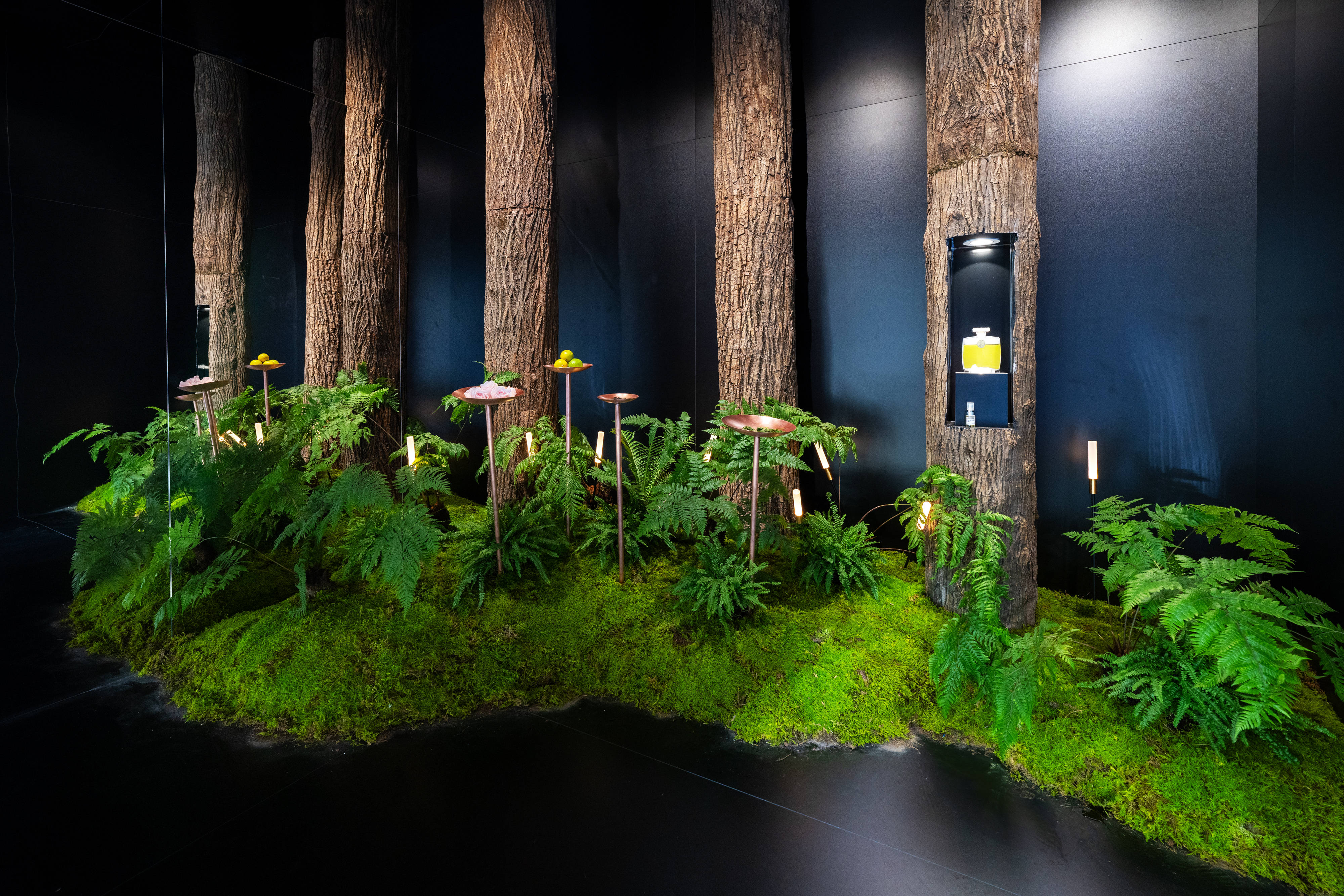 科蒂参展第七届进博会：打造香氛百年时光展，致敬120年传承与拓新