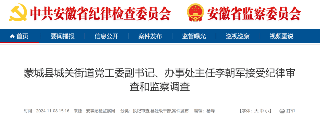 安徽五干部同日被查!一人曾任央企高管