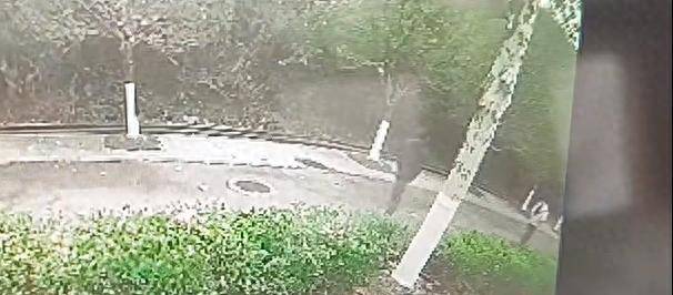 陌生男子尾随16岁女孩图谋不轨 36岁司机拿撬棍相救 民警:案件侦办中