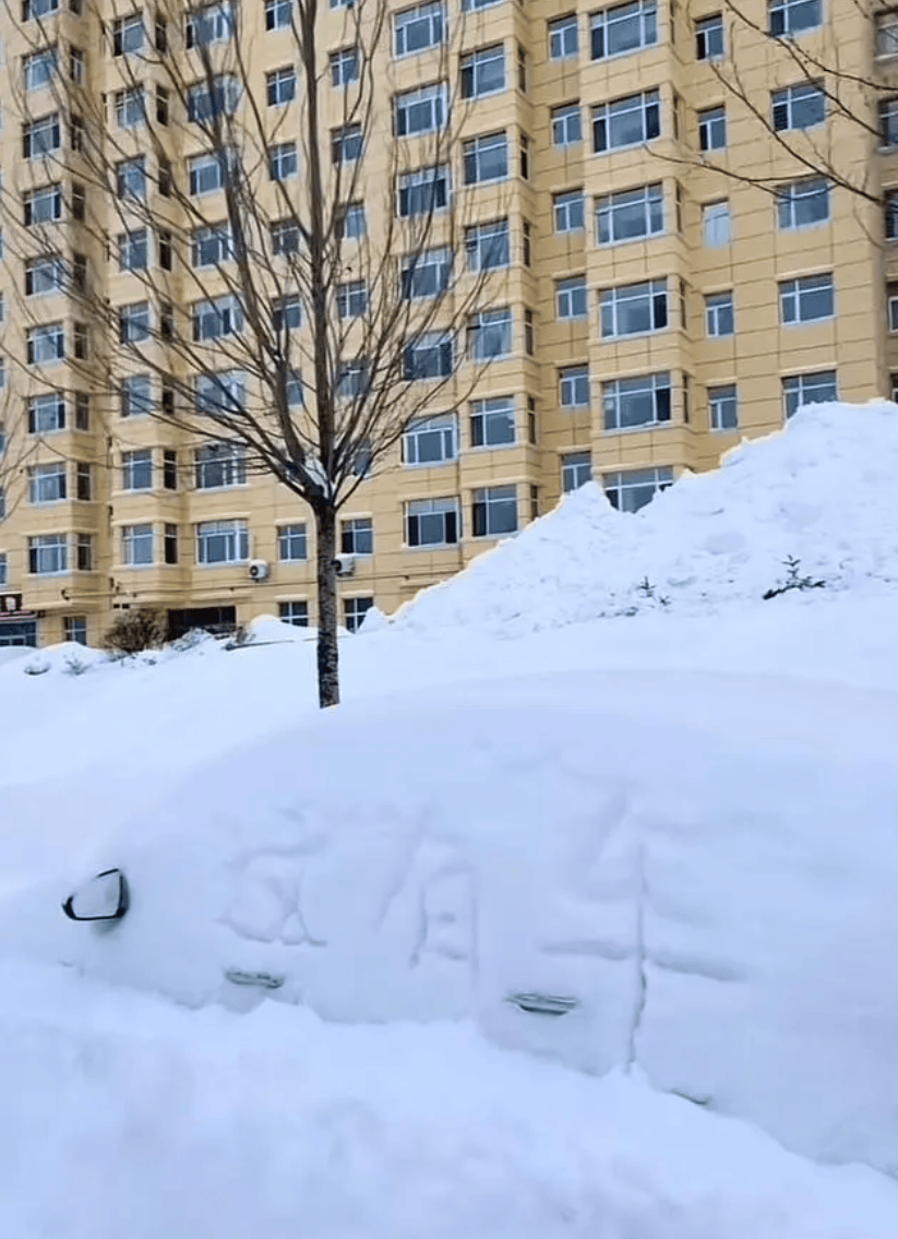 鹤岗暴雪过后,车主开启挖宝寻车模式