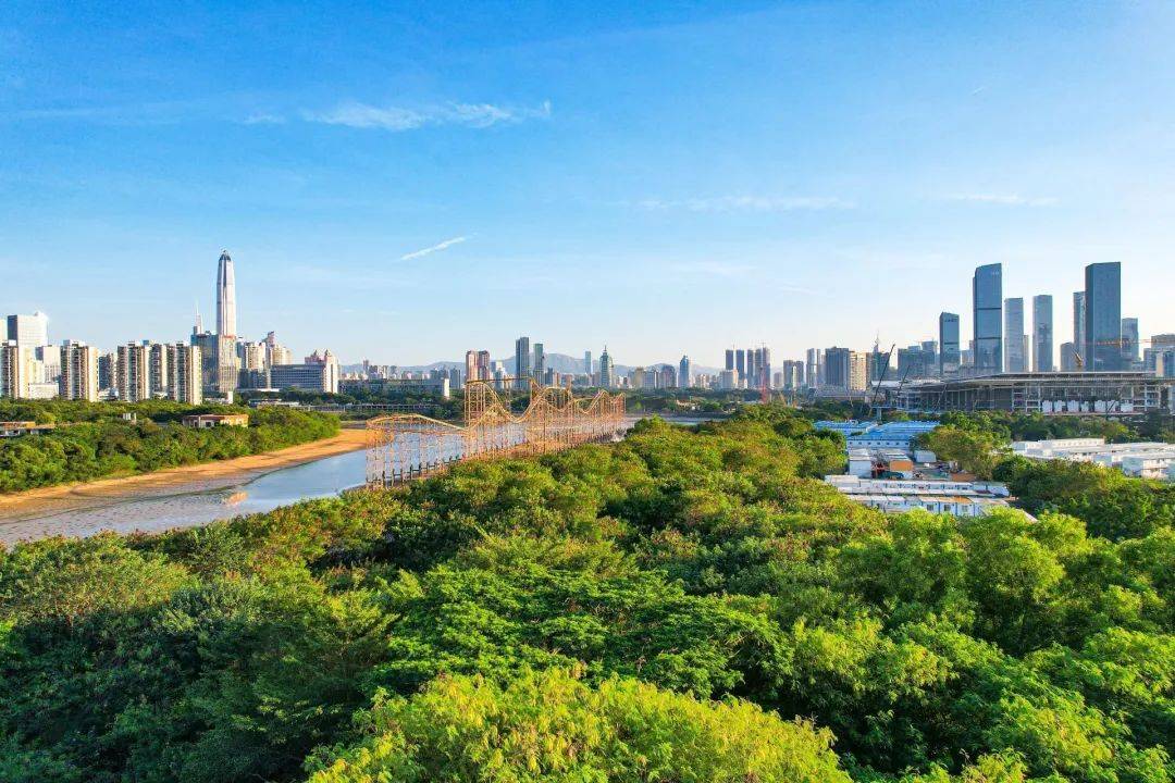 曾是“世界之最”！陪伴深圳人近40年的地标正式拆除