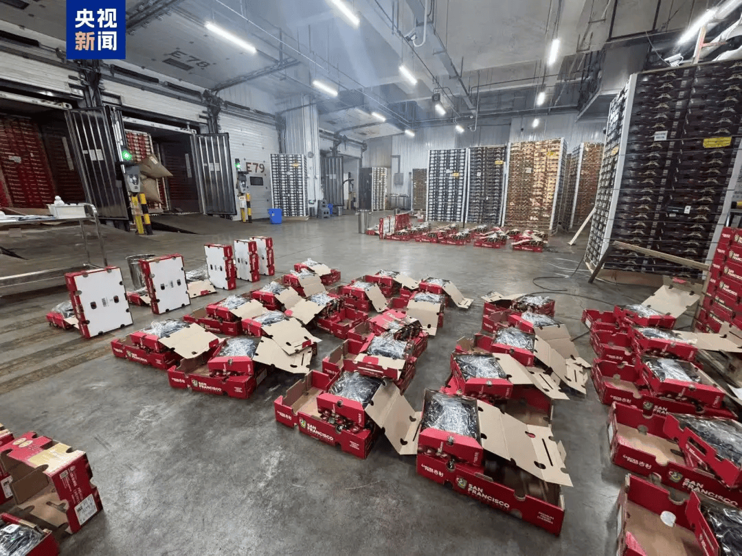 大跳水！“断崖式”降价！网友：等不及了