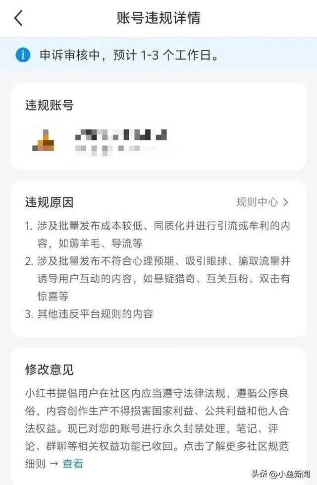 冲上热搜!多用户吐槽小红书“无理由封号”,官方回应