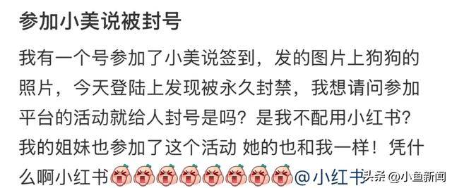 冲上热搜!多用户吐槽小红书“无理由封号”,官方回应