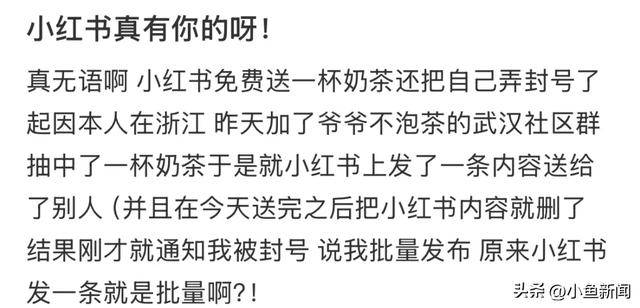 冲上热搜!多用户吐槽小红书“无理由封号”,官方回应