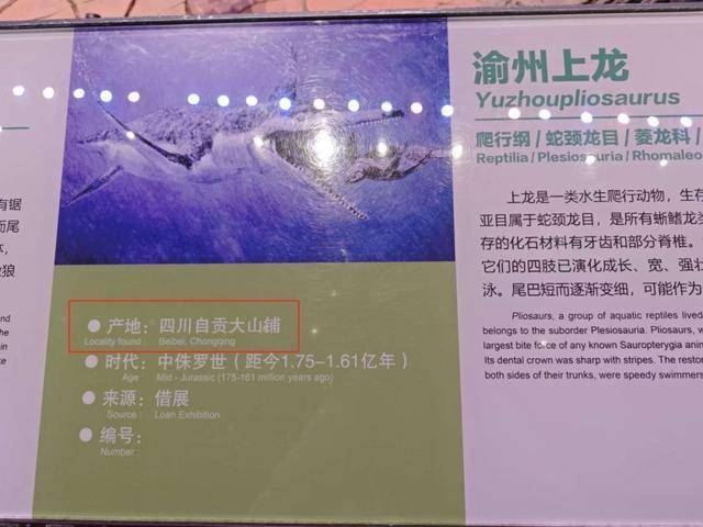 “天工开物”写成“天宫开物”，成都多家博物馆被指展品标识错误，回应：尽快更正