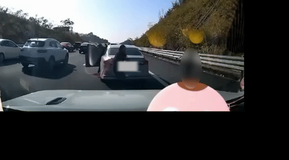 小孩高速下车被撞飞 父亲怒揍对方司机