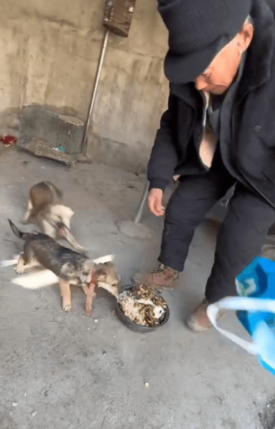 安徽老人被接到城里坐立难安，回村瞬间精神抖擞，网友：回村前83岁，回村后63岁