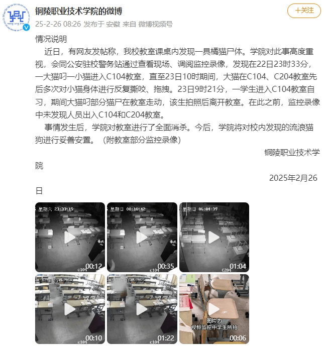 猫咪尸首分离被放课桌 调查结果：非人为