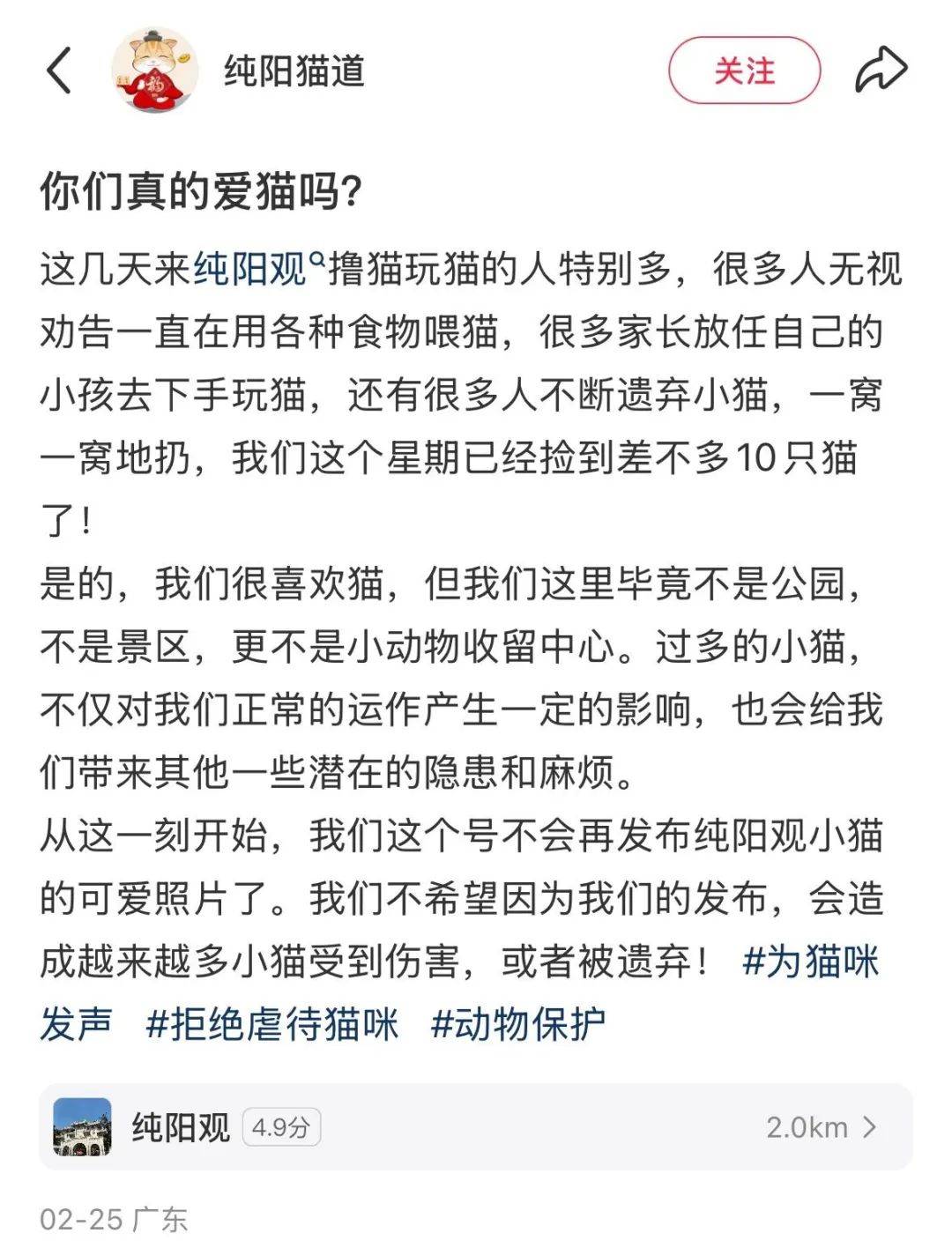 去寺庙吸猫的年轻人,把猫盘出了班味