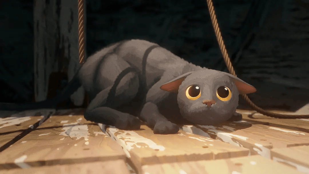 去寺庙吸猫的年轻人,把猫盘出了班味