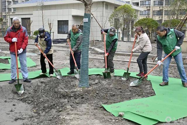 上海阿姨太开心！原拆原建马上搬回，配1600个车位，还有一个养老院…连80多棵老树都回来了