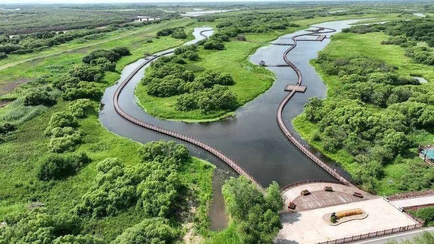 普京一诺千金！将侵占中国79年的领土归还，面积比5个澳门都大