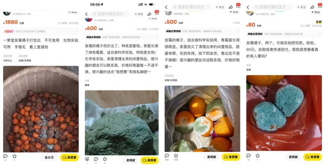 突然火了！有人卖500元一个！网友：后悔扔了……