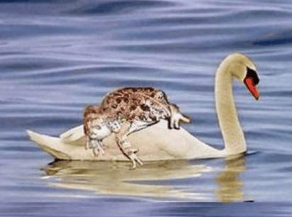 不要吃！含剧毒！无解药！已有人因此身亡…