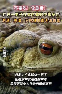 不要吃！含剧毒！无解药！已有人因此身亡…