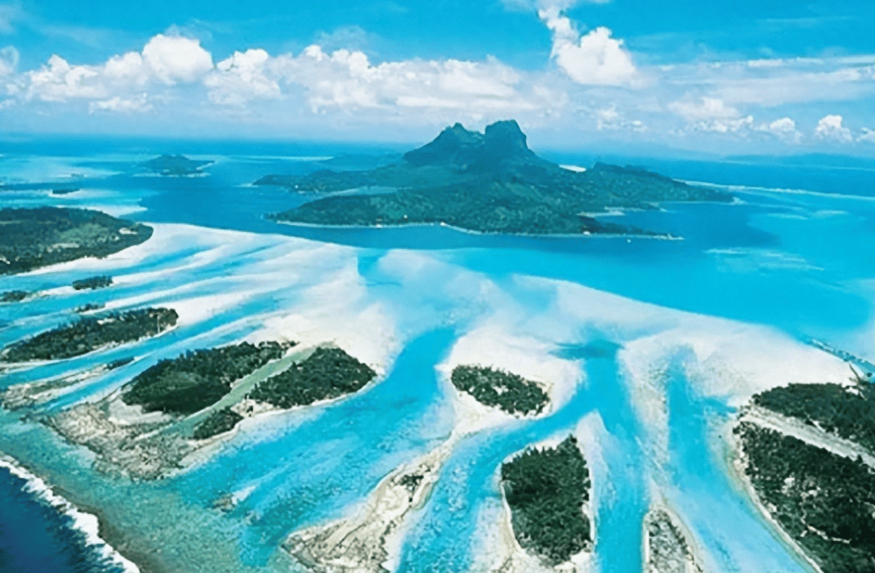 欺人太甚!“反华”女总理上任后,叫停中方港口项目,毁约还理直气壮