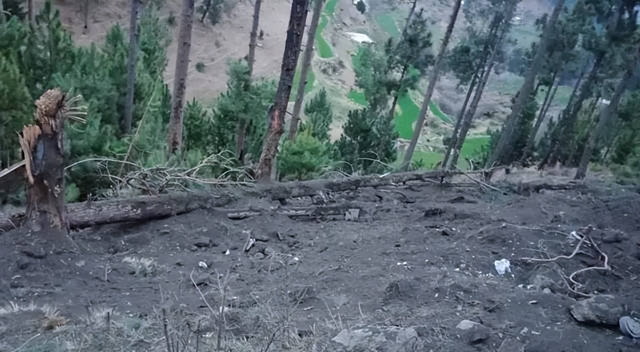 击落F-16？俘虏巴基斯坦飞行员？为啥印度媒体都宣传印度赢了？