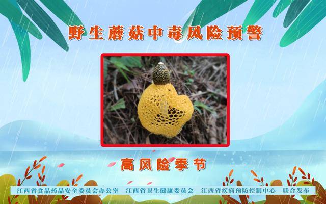 不采摘!不要买!不要吃!江西多部门联合发布风险预警