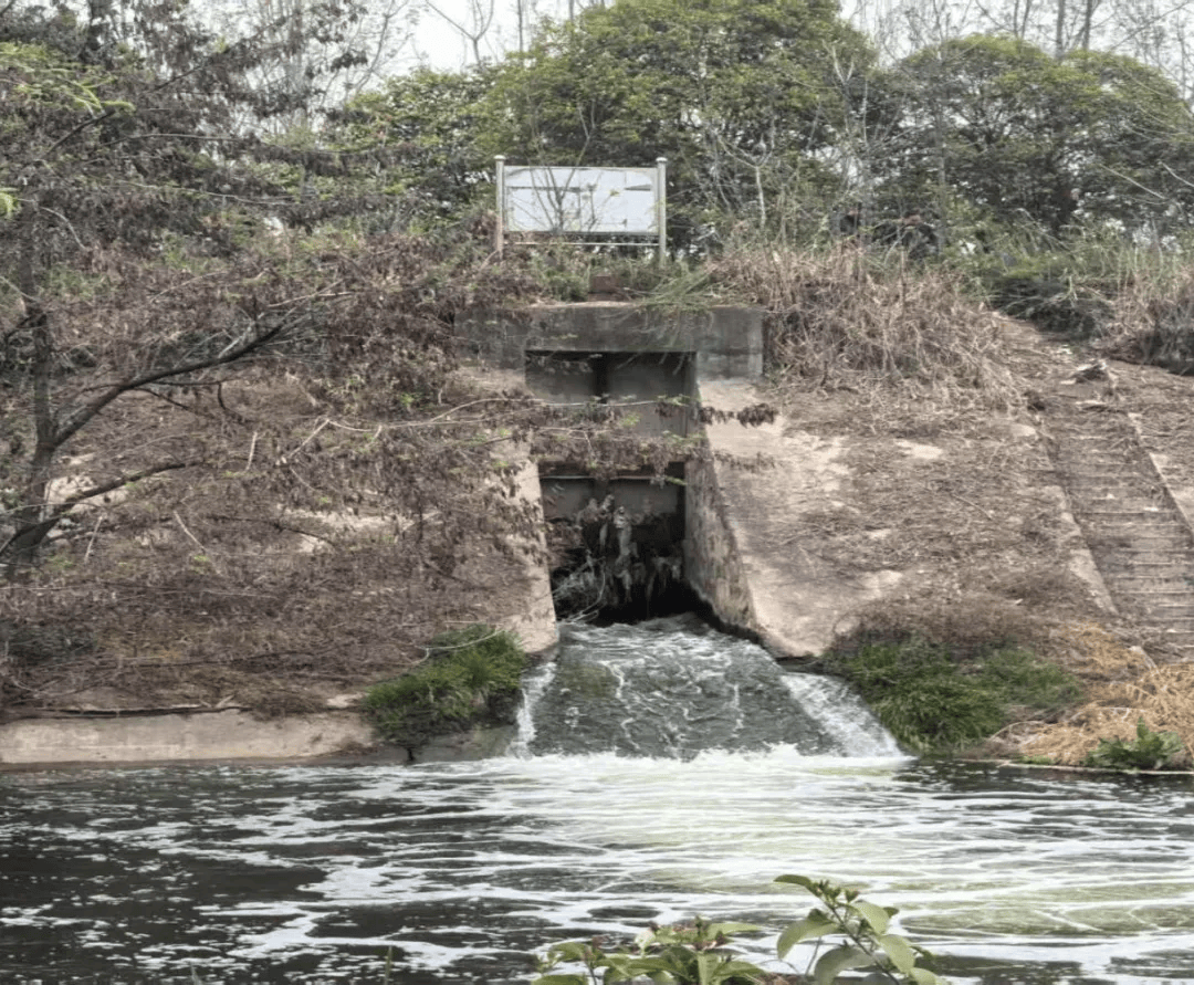 中央督察组点名：宝鸡市弄虚作假问题突出，铜川市违规发许可证、被发现当天紧急撤销