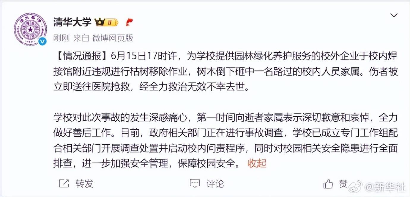清华回应女教授被树砸身亡