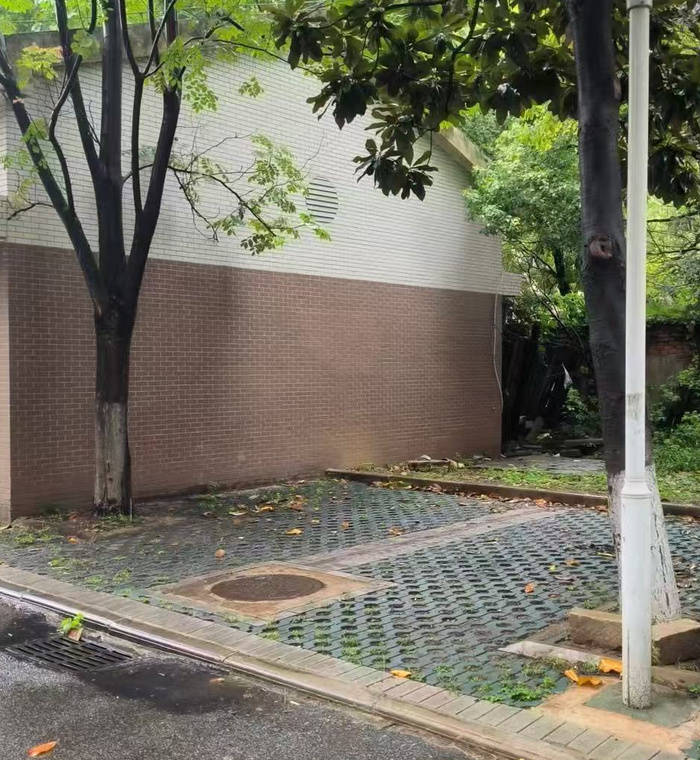 中南财大副教授遭精神病人杀害,妻子发声