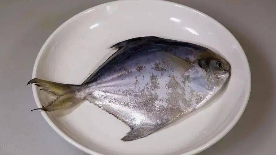 浙江男子从受伤到离世仅9天！起初伤口才米粒大……医生：进展比台风还快