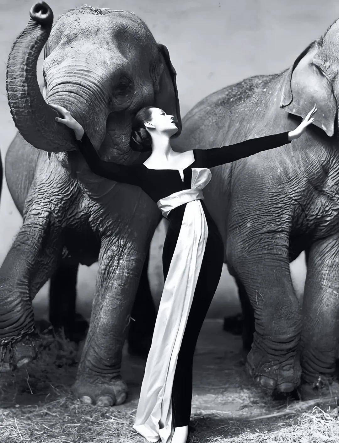 一个日本富二代，花7000万买了个二手铂金包，内幕是……