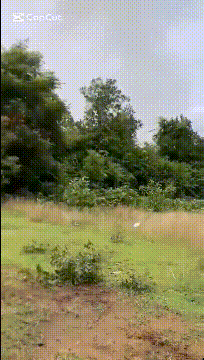 又炸了!泰国F-16越炸越凶,中国远火开打,最终还是柬埔寨失算了