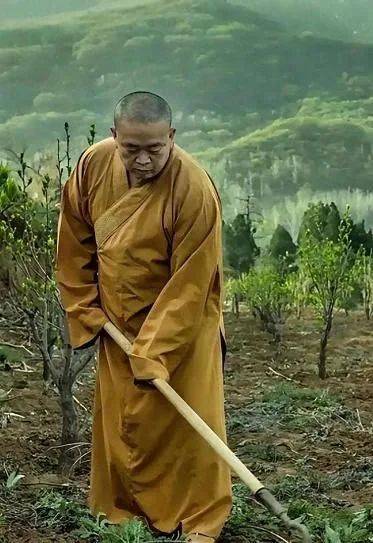 难以置信！4位名人力挺释永信，拿他当亲爹、称少林不能没他