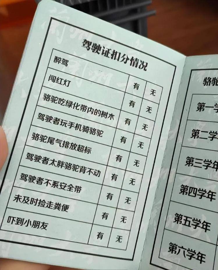 一人一驼,骆驼尾气排放超标要扣分?兰大回应学生持证骑骆驼上学:骆驼驾驶证为学校文创,非官方证件