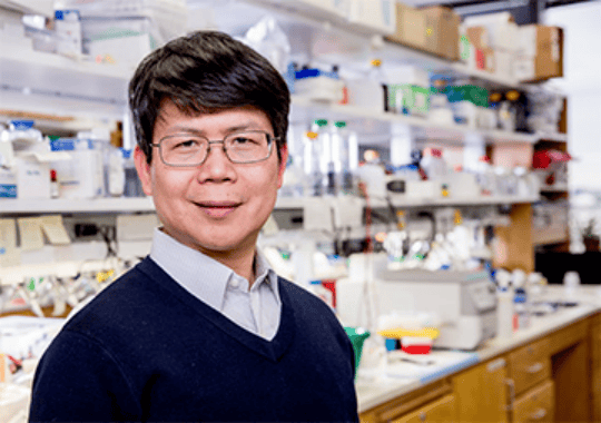 这位华人，今年有望拿诺贝尔奖