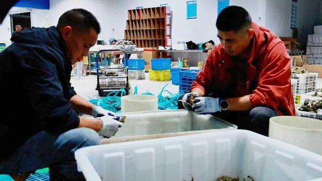 大众日报与16市党报联动，看山东新农人忙农事