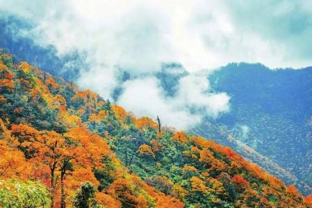 四川多个景区官宣免门票