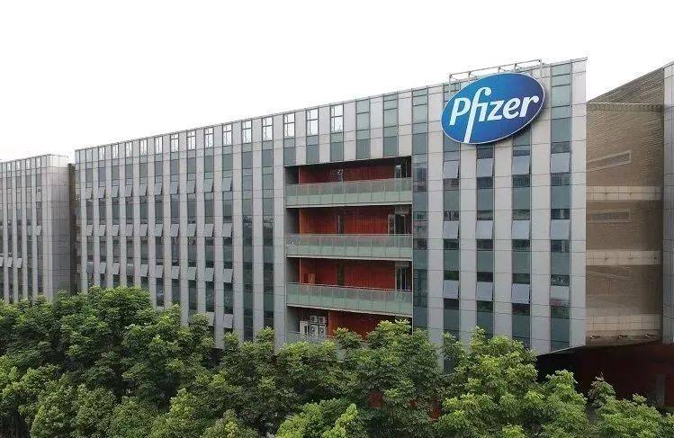 瑞波基因币最大的公司有哪些(2021年瑞波基因币最新评论)