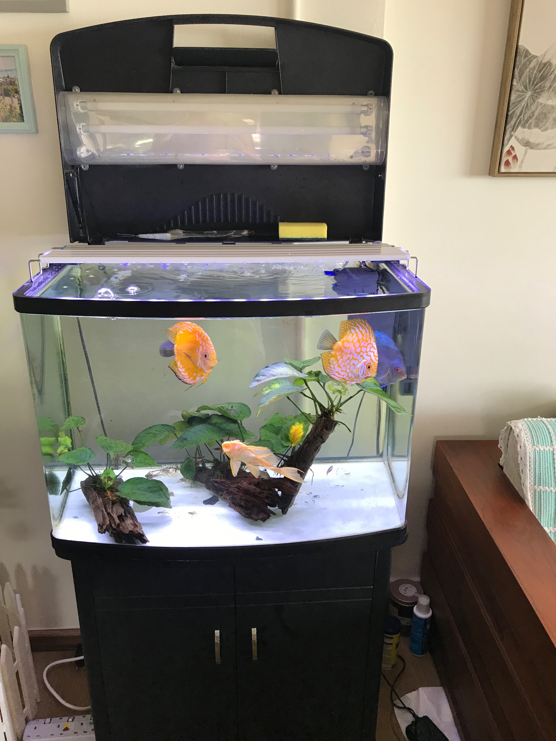 瑞波币送的SGB哪个交易所有(瑞波币送的sgb哪个交易所有用)