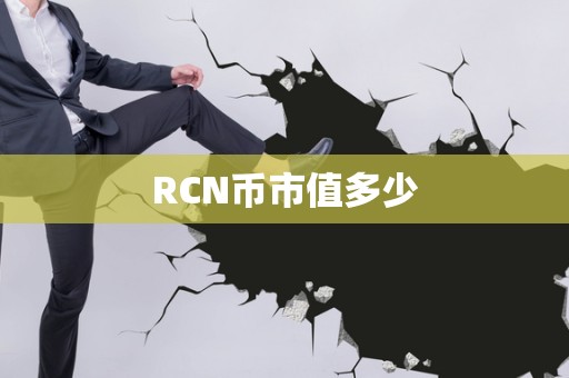 瑞波币是什么公司发行(瑞波币是什么公司发行的钱)