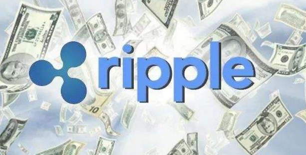 瑞波币是什么公司(瑞波币是什么公司制作的)