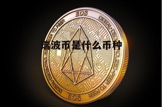 2014年买瑞波币上亿(2014年买瑞波币上亿了吗)